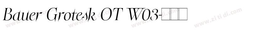 Bauer Grotesk OT W03字体转换